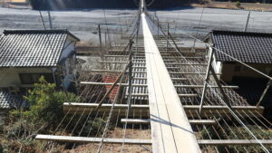 塩郷の吊橋